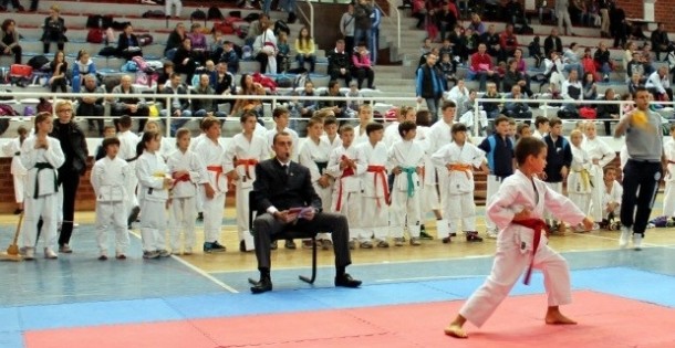 Karate-kup-Vidoje-Andric-2013-3