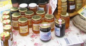 Одржана годишња Скупштина Удружењa пчелара „Медовина“