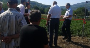Свечано отворен први Матични засад малине у Републици Српској