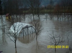 poplav