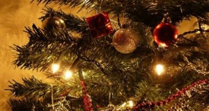 Новогодишња и Божићна честитка Начелника општине Рудо