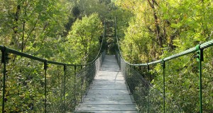 Zabrana korišćenja visećeg mosta na rijeci Lim