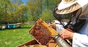 Obavještenje za pčelare