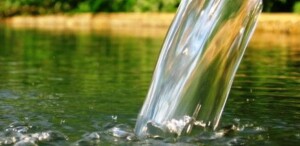 Усвојена Одлука о заштити изворишта воде за пиће „Зова I“, „Зова II“ и „Крупица“ у Рудом