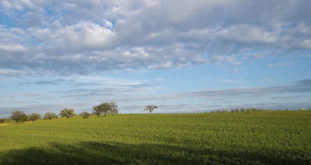 Објављена  листа најповољнијих понуда за додјелу у закуп пољопривредног земљишта